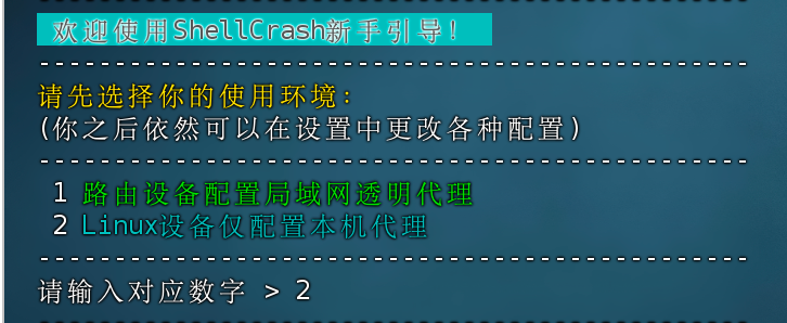 image-20240824101921256